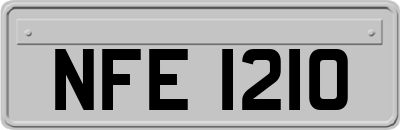 NFE1210
