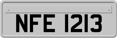NFE1213