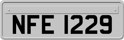 NFE1229