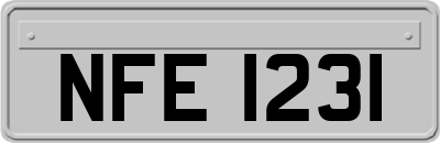 NFE1231