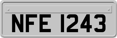 NFE1243