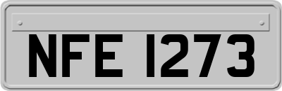 NFE1273