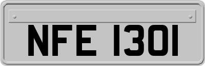 NFE1301