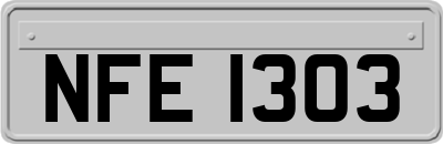NFE1303