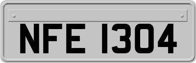 NFE1304