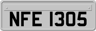 NFE1305