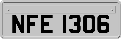 NFE1306