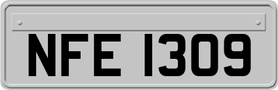 NFE1309