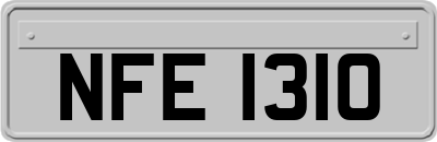 NFE1310