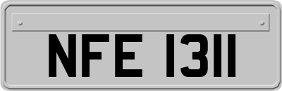 NFE1311