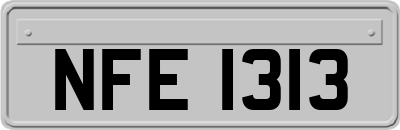 NFE1313