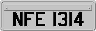 NFE1314