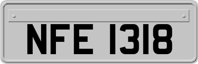 NFE1318