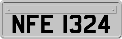NFE1324