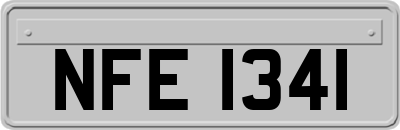 NFE1341