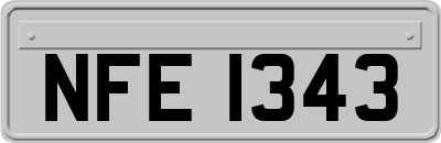 NFE1343
