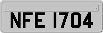 NFE1704