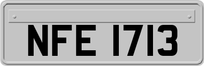 NFE1713