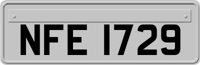 NFE1729