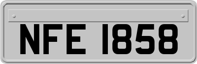 NFE1858
