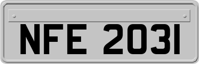 NFE2031