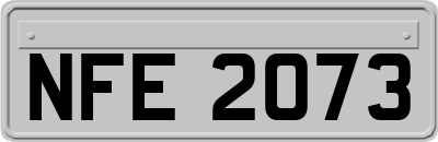 NFE2073