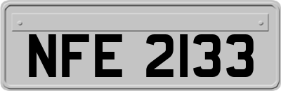 NFE2133