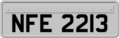 NFE2213