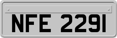 NFE2291