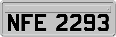 NFE2293