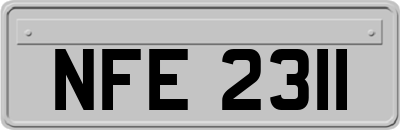 NFE2311