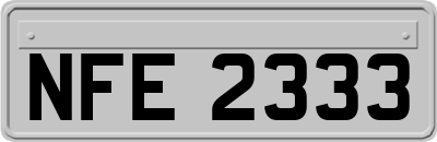 NFE2333