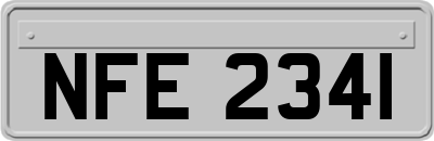 NFE2341