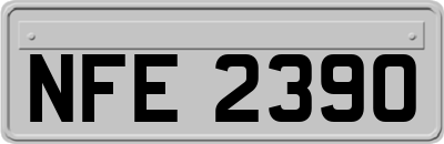 NFE2390