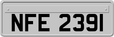 NFE2391