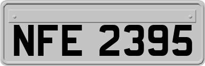 NFE2395