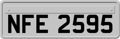 NFE2595