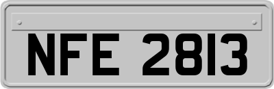 NFE2813