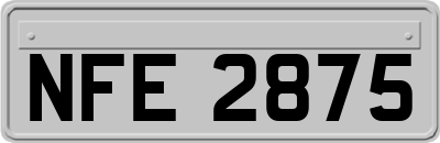 NFE2875
