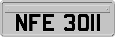 NFE3011