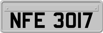NFE3017