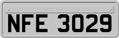 NFE3029
