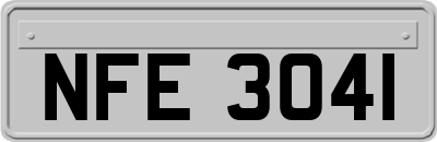 NFE3041