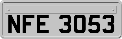 NFE3053