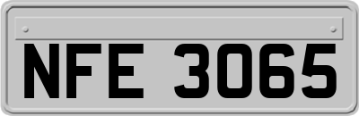 NFE3065