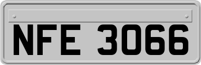 NFE3066