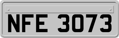 NFE3073