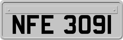 NFE3091