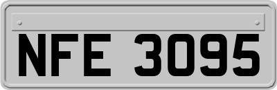 NFE3095