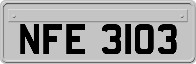 NFE3103